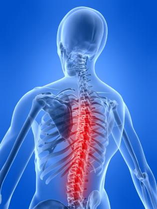 Spinal Release Image